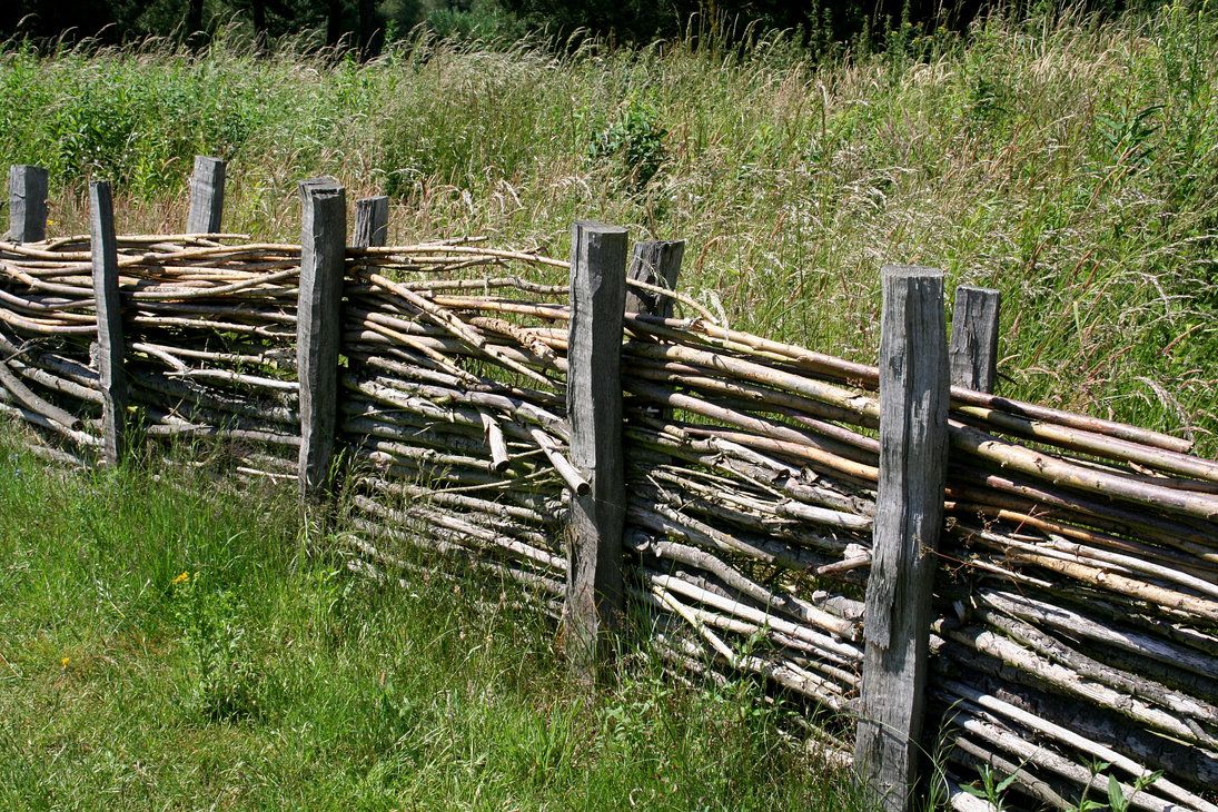 Evolution of Garden Fences: A Historical Journey through Time